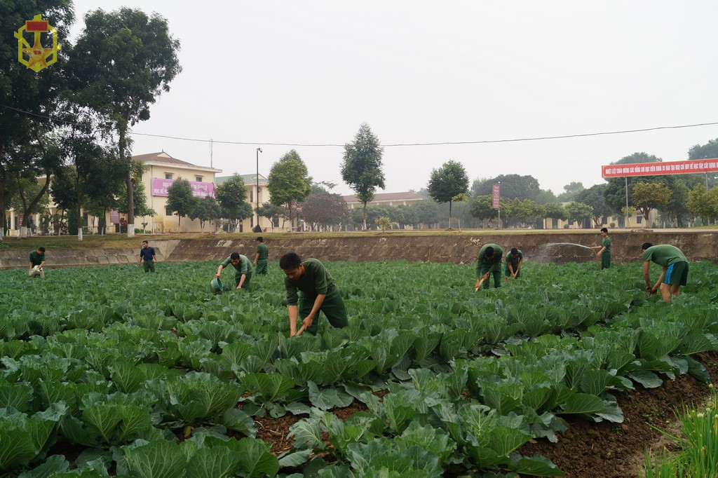 Một số vấn đề cần lưu ý trong bảo đảm ăn uống cho bộ đội khi thời tiết nắng nóng