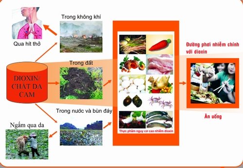 Đặc điểm tác hại và cách phòng chống một số chất độc chủ yếu