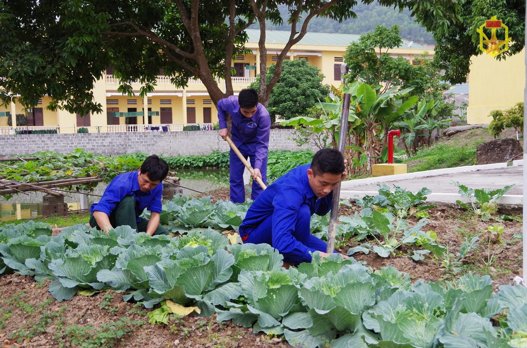 Cán bộ, nhân viên Kho Hóa học (Phòng Hóa học, Bộ Tham mưu, Quân khu 3) tăng gia rau xanh