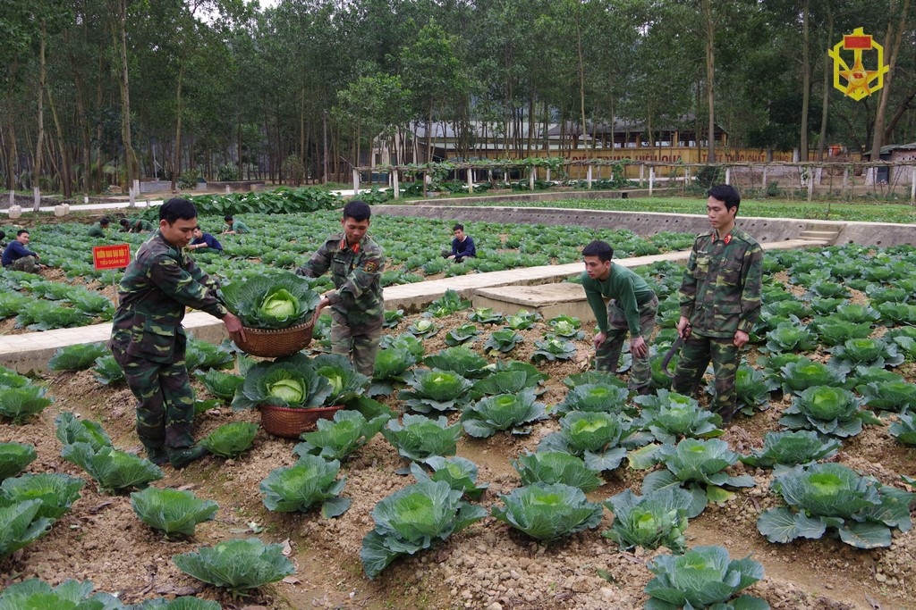 Ban chỉ đạo phong trào thi đua Binh chủng Hóa học triển khai kế hoạch, hướng dẫn thực hiện sơ kết phong trào thi đua “Ngành Hậu cần Quân đội làm theo lời Bác Hồ dạy” và phong trào thi đua của các “chuyên ngành” giai đoạn 2015-2020