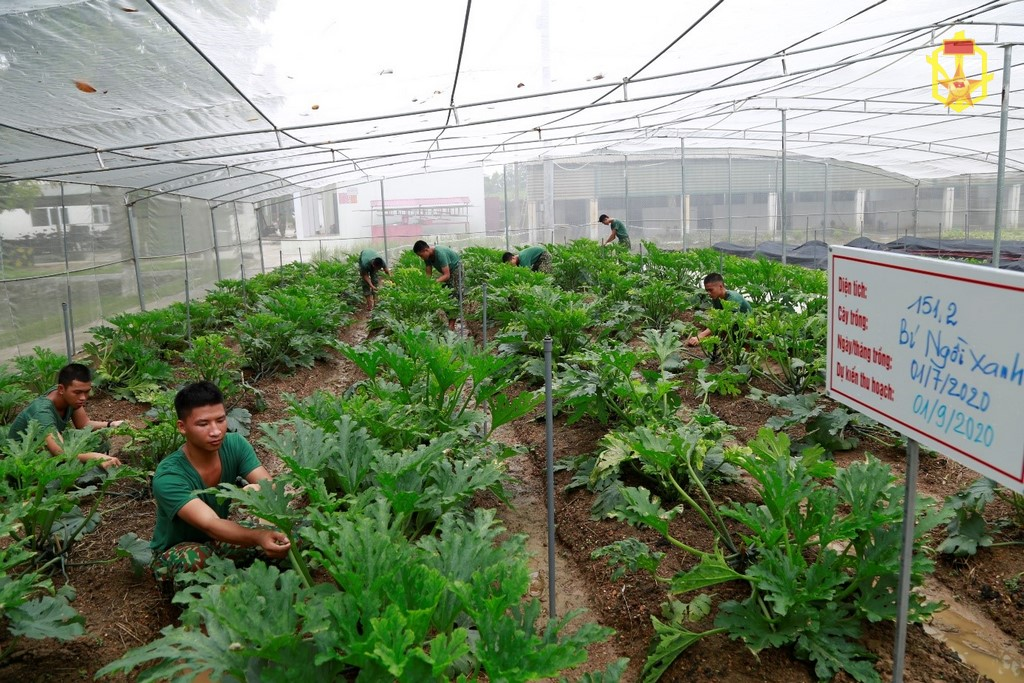 Tin Hội thi Quân nhu năm 2020 của Lữ đoàn 86