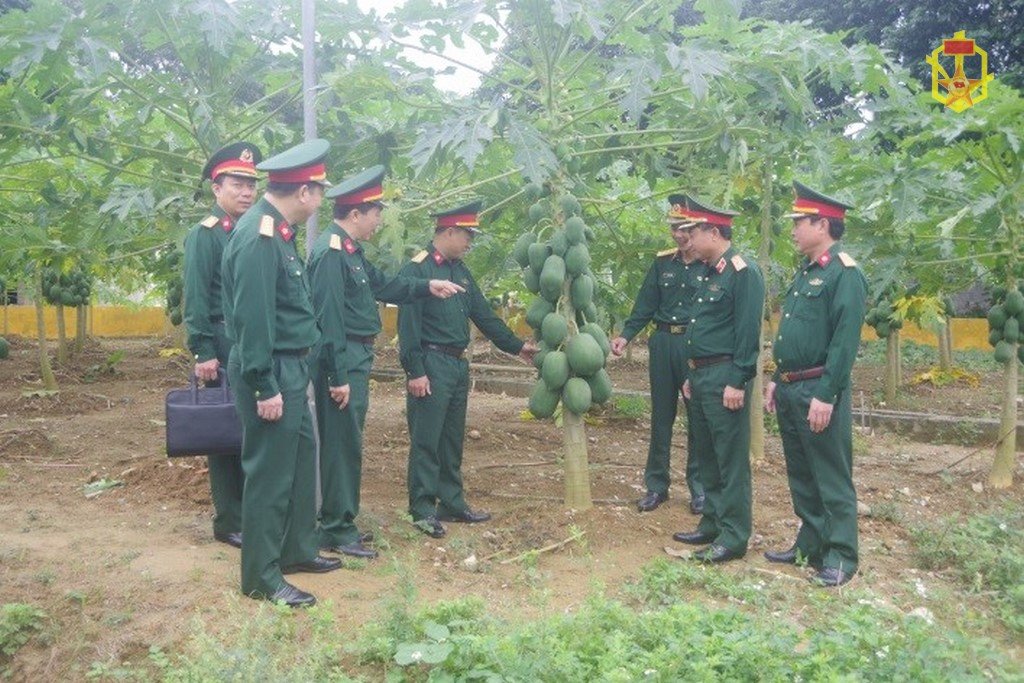 Đồng chí Chính ủy Binh chủng thăm và kiểm tra đơn vị Kho K63
