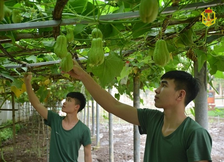 Động lực xây dựng đơn vị chính quy, nâng cao đời sống bộ đội