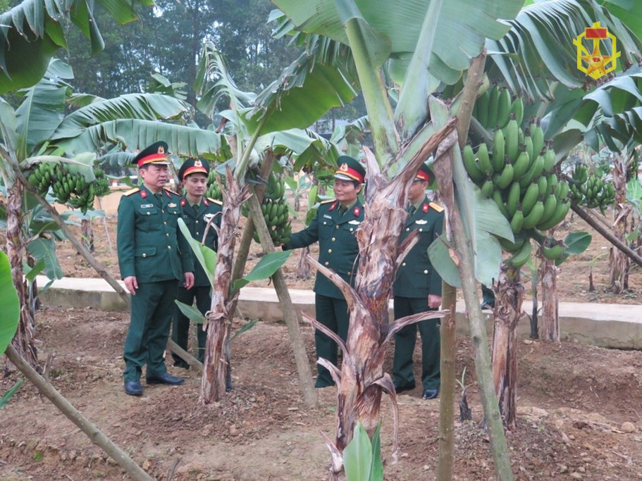 Một số nội dung cần tập trung thực hiện sau Hội thi “Doanh trại chính quy, xanh, sạch, đẹp”, “Đơn vị nuôi quân giỏi, quản lý quân nhu tốt” cấp Binh chủng