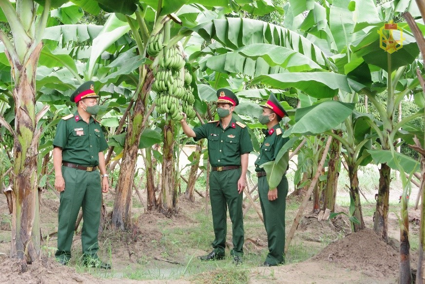 Đẩy mạnh công tác tăng gia, sản xuất, bảo đảm tốt đời sống bộ đội trong điều kiện dịch Covid-19 ở Lữ đoàn 87