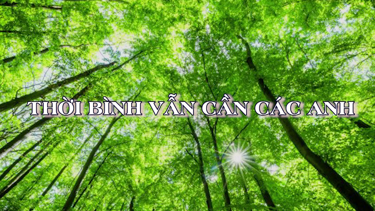 Thời bình vẫn cần các anh