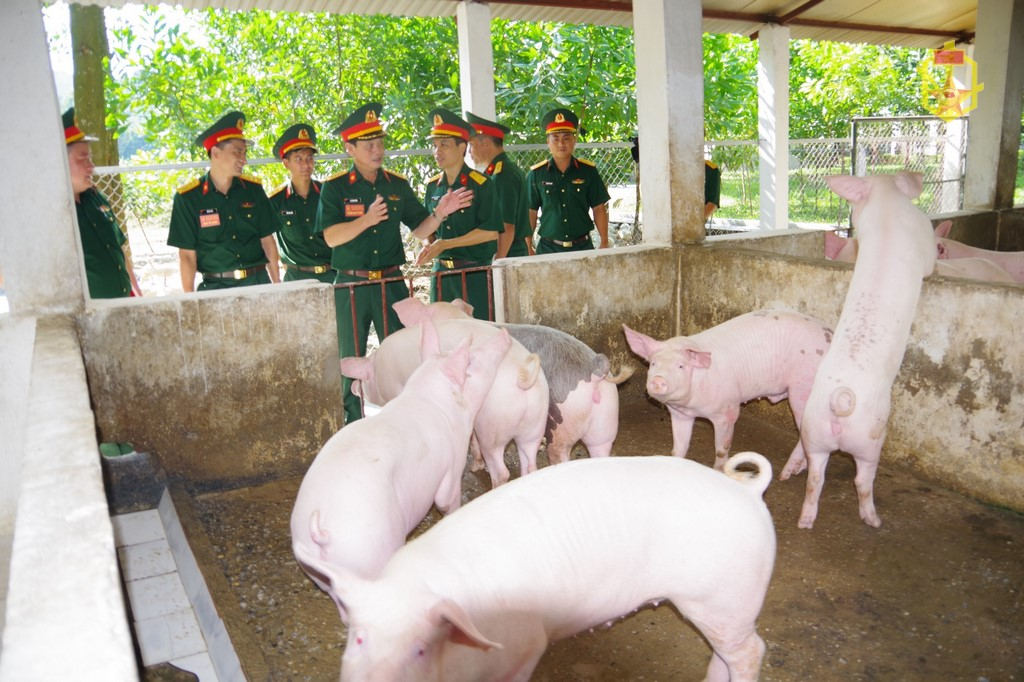 Lữ đoàn 86 tham gia Hội thi "Đơn vị tăng gia sản xuất giỏi" cấp Binh chủng năm 2023