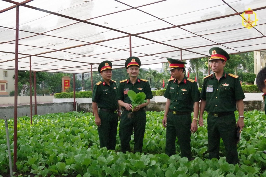 Tăng gia sản xuất theo hướng thiết thực, hiệu quả, gắn với nâng cao đời sống bộ đội