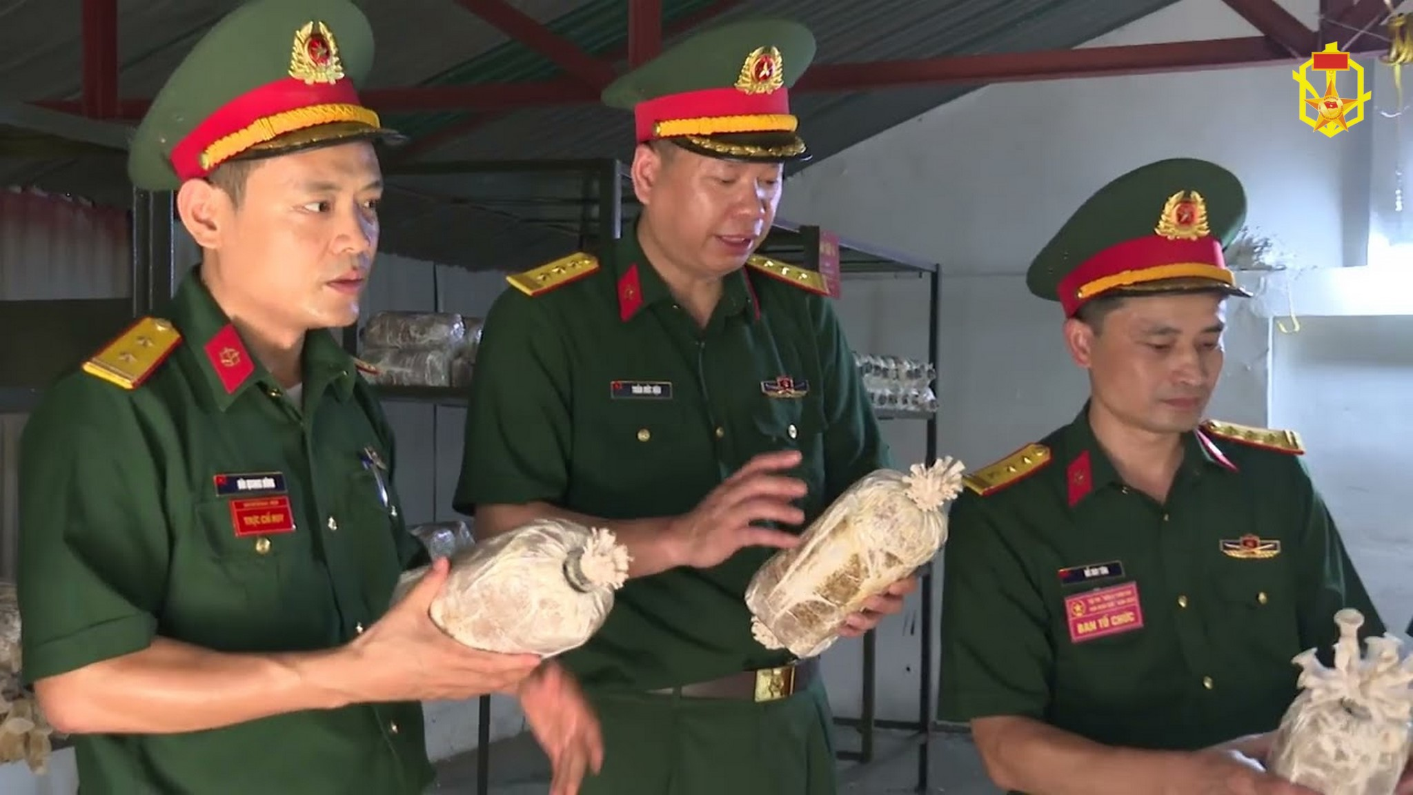 Hội thi Tăng gia sản xuất giỏi năm 2023 của Binh chủng Hóa học
