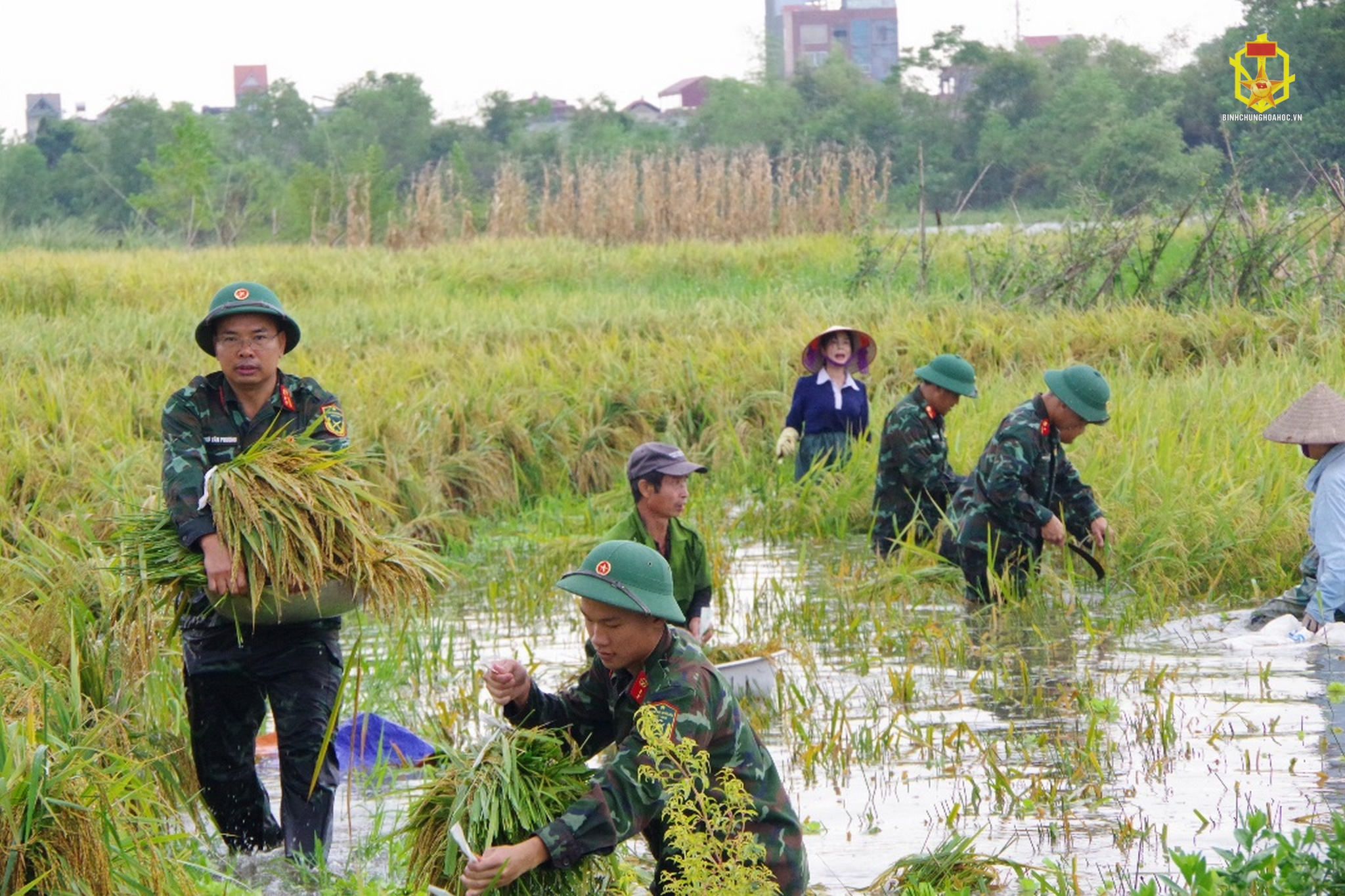 Kho Khí tài Hóa học 61 tham gia giúp nhân dân khắc phục mưa bão tại phường Trung Hưng, thị xã Sơn Tây