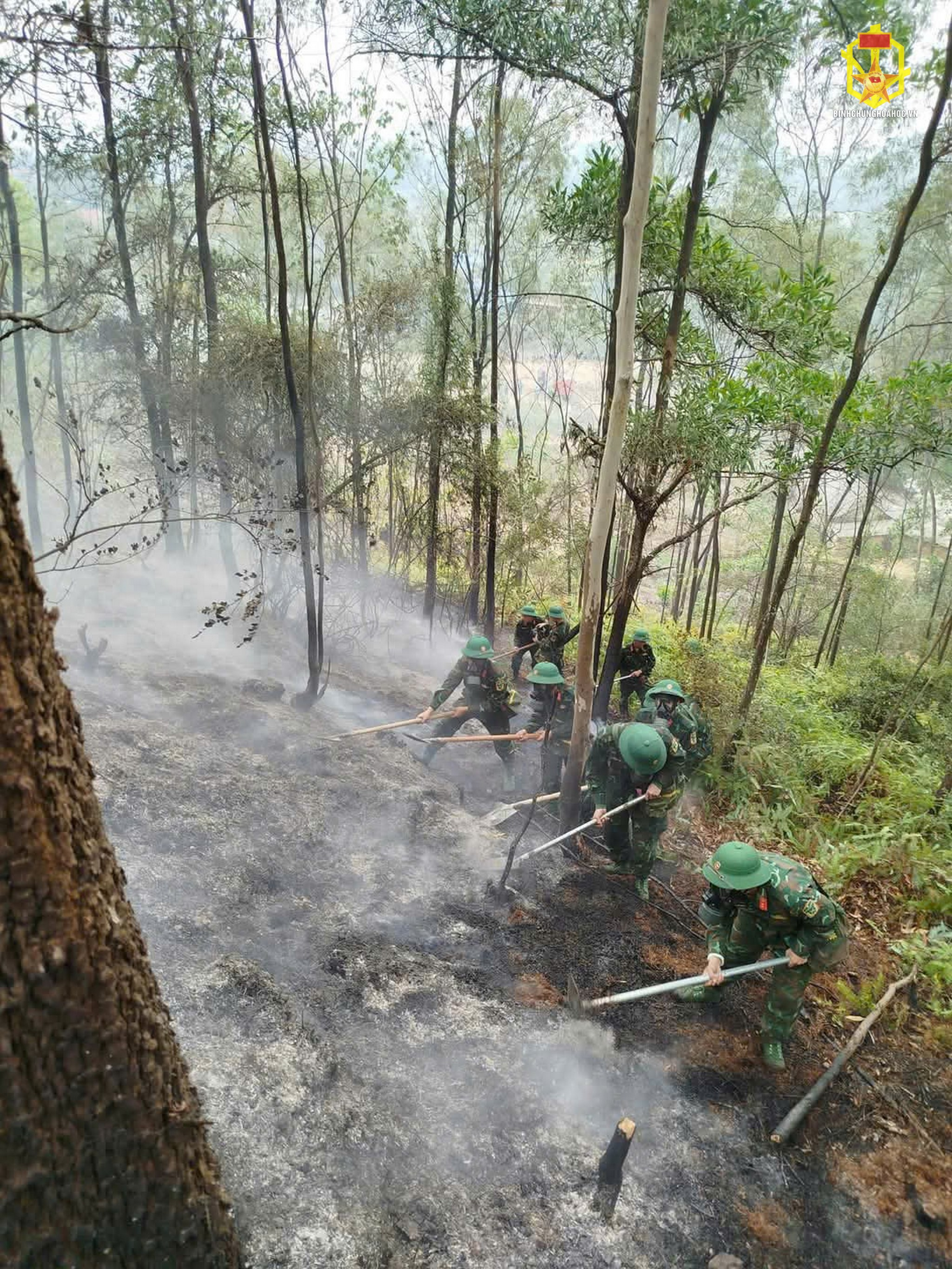Cán bộ, chiến sĩ Tiểu đoàn 901, Lữ đoàn 86, Binh chủng Hóa học tham gia dập cháy rừng