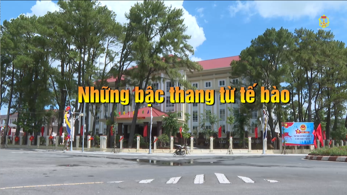 Những bậc thang từ tế bào